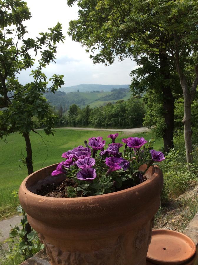 Agriturismo Ca Lunati Otel Castelletto Mendosio Dış mekan fotoğraf