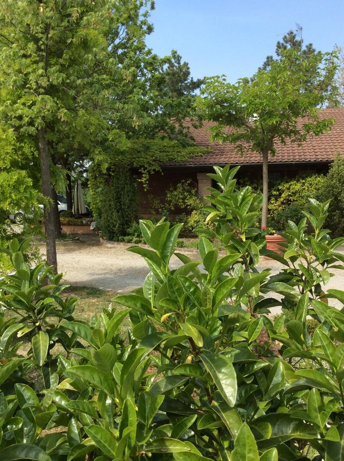 Agriturismo Ca Lunati Otel Castelletto Mendosio Dış mekan fotoğraf